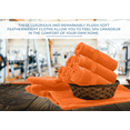 thumbnail image 3 of Dan River Washcloth for Face 12 pack Soft Absorbent and Quick Drying Durable Cotton Face Towel - Orange, 3 of 8