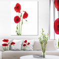 thumbnail image 1 of Fleurs de Coquelicot Rouge Isolées - Impression sur Toile Florale, 1 of 3