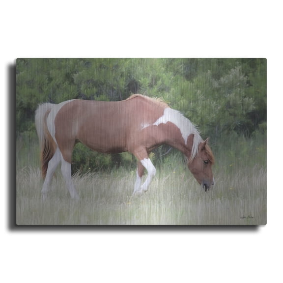 Luxe Metal Art 'Assateague Horse' by Lori Deiter, Metal Wall Art, 16" x 12"