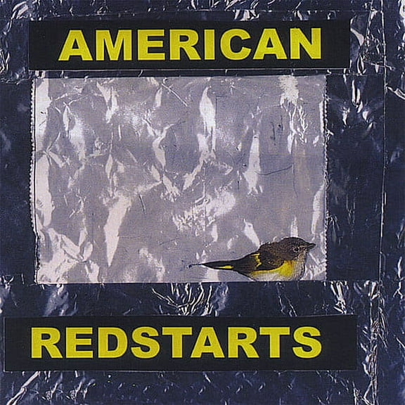 Paul Sigismondi - American Redstarts - Music & Performance - CD