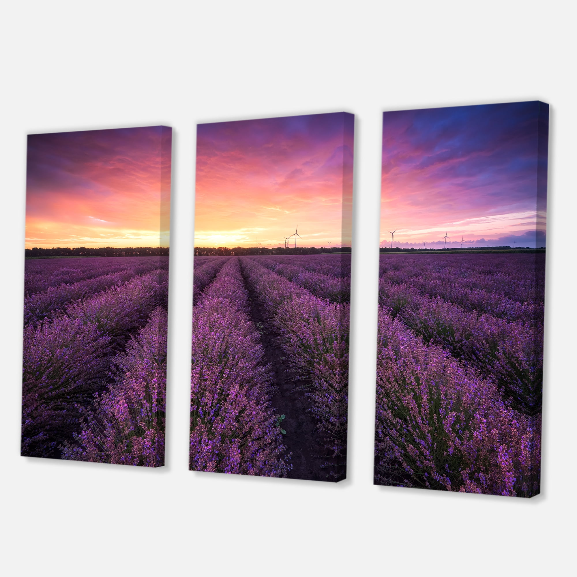 Designart ' Dramatic Clouds and Sunrise Over Lavender Field XIII ' Farmhouse Canvas Wall Art Print