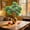 Green, variant on YHAICO Luxury Simulation Climbing Frame Bed for Multiple Cat Tree Artificial Branch Banyan Leaf Red Maple Leaf Indoor Fake Tree Ginkgo Leaf Plastic Branch Engineering Green Plant Branch Wholesale