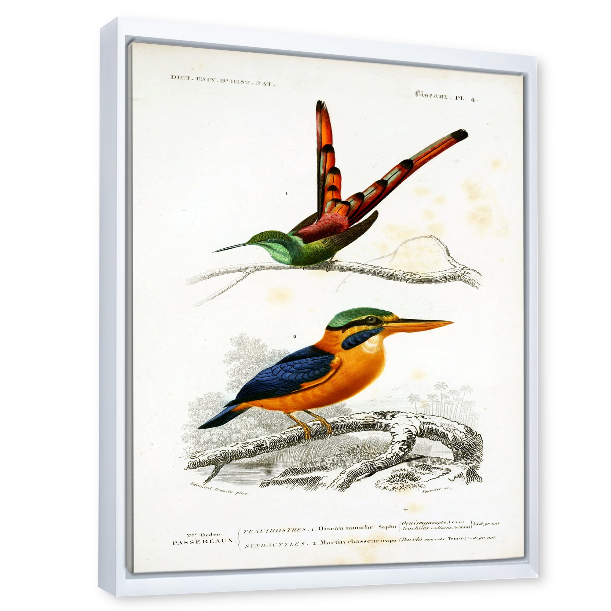 Designart 'Ancient Bird I' Traditional Framed Canvas Wall Art Print