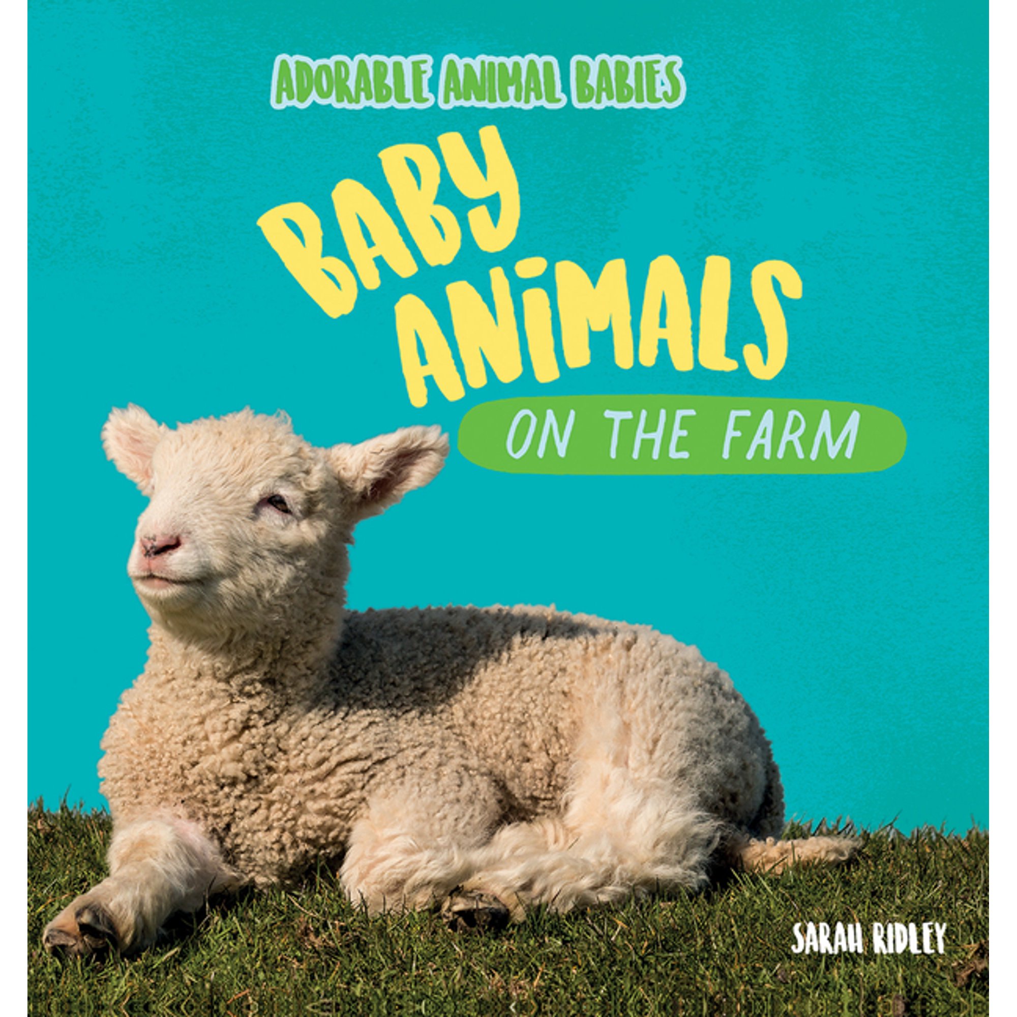 Adorable Animal Babies Baby Animals on the Farm, (Paperback)