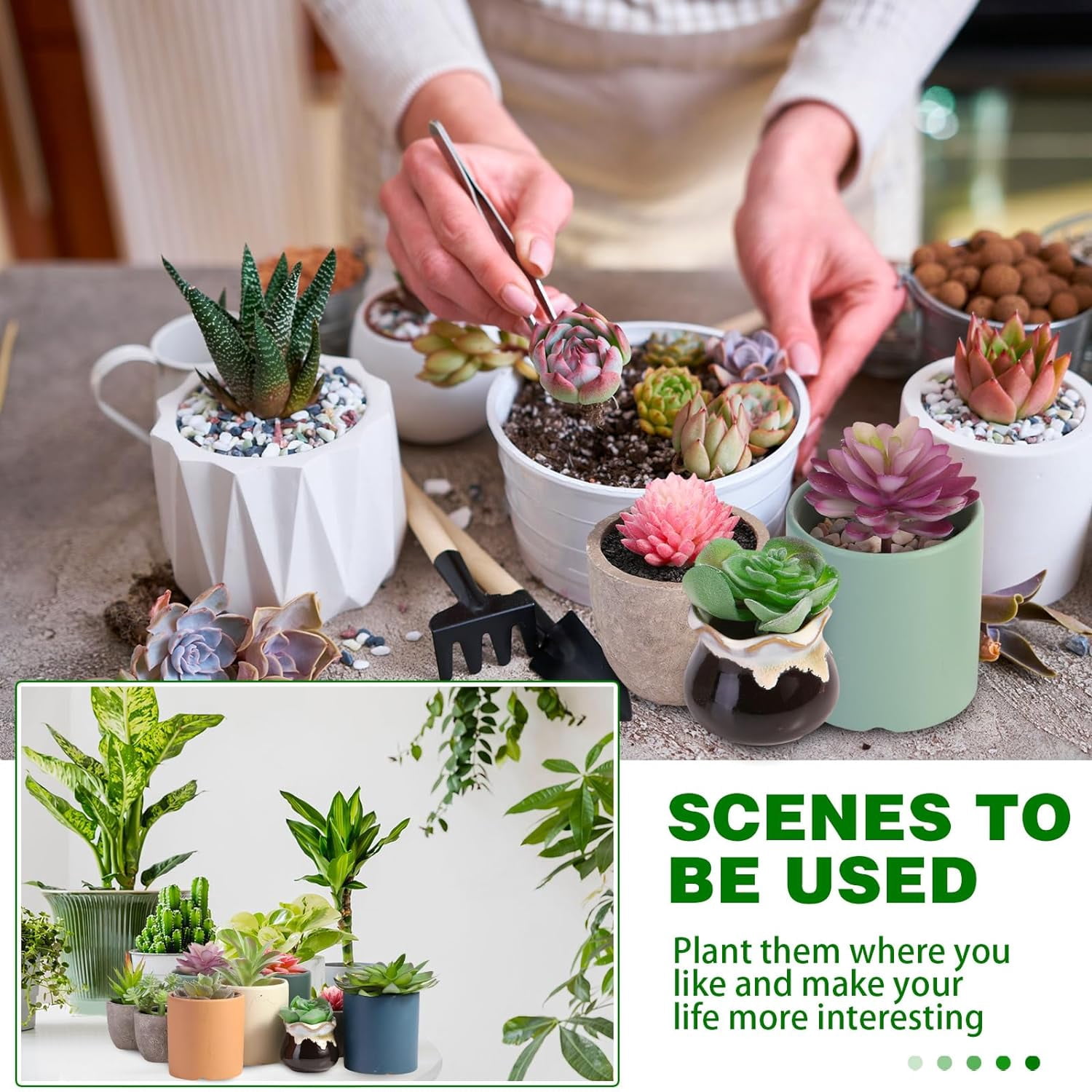 50 Pcs Bulk Mini Artificial Succulents Plants Assorted Unpotted Realistic Plants Fake Textured Succulent Picks Realistic Plastic Cactus Stems for Succulent Garden Home Decor (Large Style)