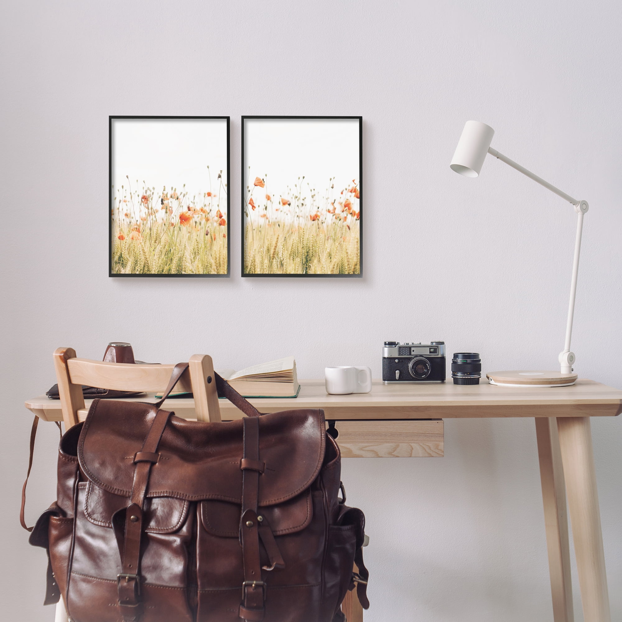 Stupell Industries Rural Poppy Field Landscape Photography Black Framed Art Print Wall Art, 11 x 14