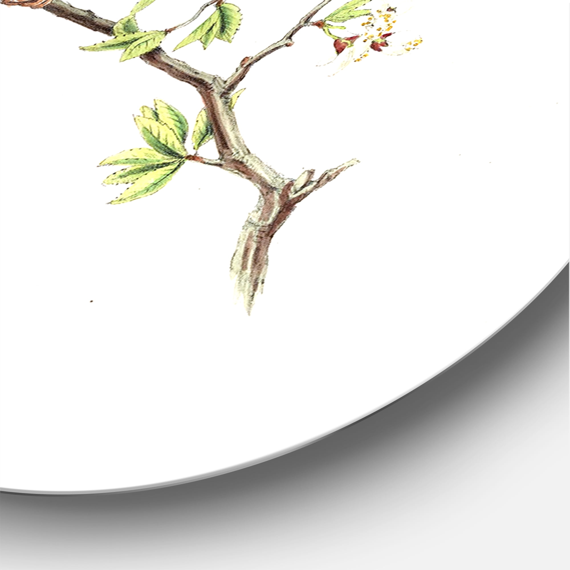 Designart 'Ancient Mammals II' Farmhouse Circle Metal Wall Art 23x23 - Disc of 23