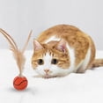 thumbnail image 4 of Elastic Feather Cat Toy, Interactive Bouncy, Mini Basketball/Soccer Style for Indoor Exercise & Chewing, 4 of 5