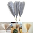 thumbnail image 6 of 6 Pieces Dried Pampas Grass for Vase Boho Reed Flowers Flower Arrangement Home, 6 of 6