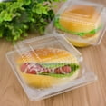 thumbnail image 6 of Clear Plastic Square Hinged Food Container,Disposable Plastic To Go Containers with Clear Lids,Cake Slice Containers Clamshell Takeout Tray for Pastry,Salad,Dessert, 6 of 6