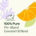 thumbnail image 5 of Plant Therapy Meditation Essential Oil Blend Ore-Diluted Roll-On 10 mL (1/3 oz) 100% Pure, Therapeutic Grade, 5 of 6