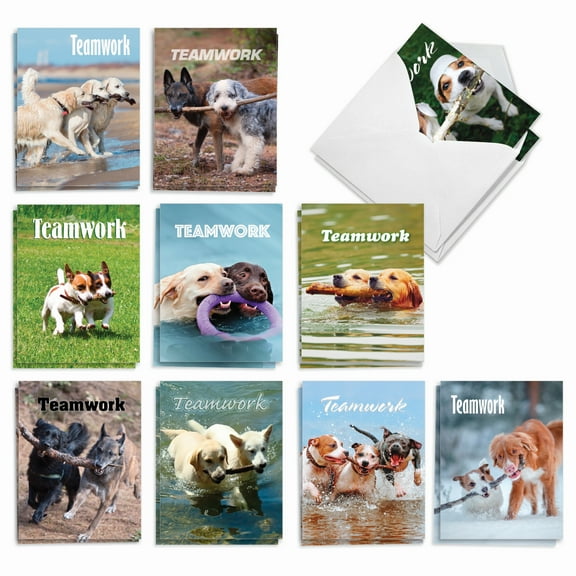 20 Blank All Occasion Note Cards with Envelopes (4" x 5.12") - Teamwork All Occasion (10 Designs, 2 Each) AM3189OCB-B2x10