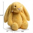 thumbnail image 3 of Juguetes de peluche de conejito de Pascua de 9,8 pulgadas, color verde salvia, peludos y holgados, animales de peluche de conejito de color sólido, peluches de eucalipto difusos para decoración,Lemon, 3 of 8