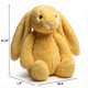 thumbnail image 3 of Juguetes de peluche de conejito de Pascua de 9,8 pulgadas, color verde salvia, peludos y holgados, animales de peluche de conejito de color sólido, peluches de eucalipto difusos para decoración,Lemon, 3 of 8