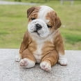 thumbnail image 2 of Sitting Sleepy Bulldog Puppy, 2 of 6