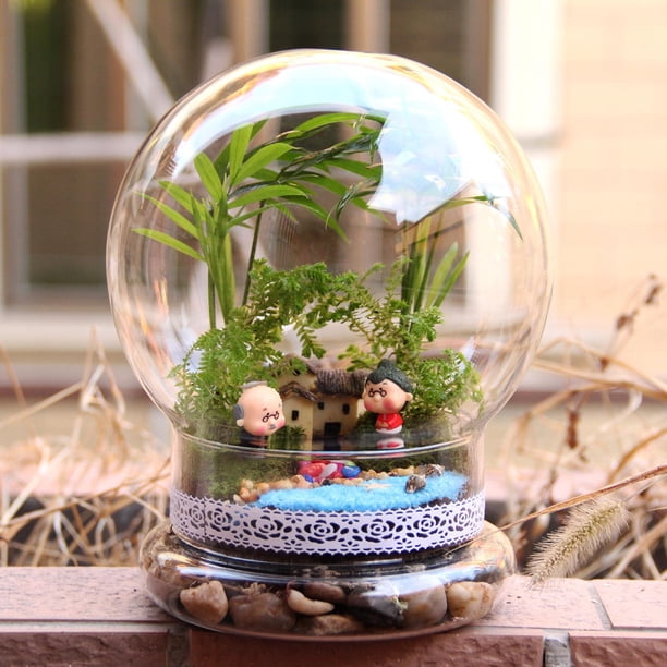 Vitrina de campana, cubierta de botella ecológica de micro paisaje, jarrón, terrario de planta de cúpula de campana de exhibición para plantas de Macarena Cúpula transparente