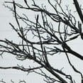 thumbnail image 2 of Nearly Natural Pre-Lit Deluxe Twig Artificial Halloween Tree - 8' - Multicolor LED Lights, 2 of 4