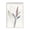 Botanical Herb Bouquet_v1, variant on Stupell Industries Bohemian Natural Floral Impression Canvas Art, 16 x 20, by Pernille Folcarelli