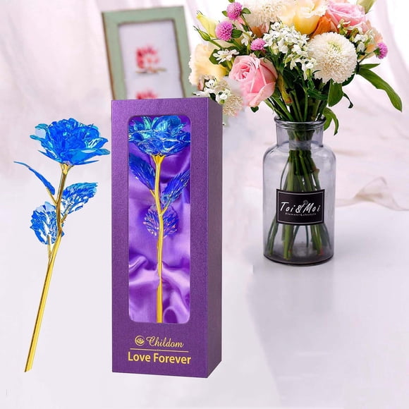 Binwennn Ladies' Christmas Mom's Birthday Mom's Rose Blue Christmas Rose Mom's Wife Grandma Anniversary Wedding Valentine's Day Ds9 Ornament Shatterproof Ornament Set Moments Christmas Ornament