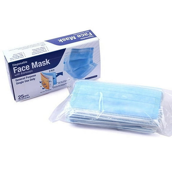 Playgo 3-Ply Earloop Face Mask, 25 Ct.