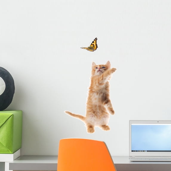 Ginger Kitten Playing with Wall Decal by Wallmonkeys Peel and Stick Graphic (18 in H x 10 in W) WM241031