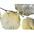 thumbnail image 2 of Grey, Jace 32x25 Gold Ornate Wood Framed with Double Matting Museum Art Print Titled - Classic Leaves White, 2 of 4