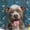 American Pit Bull Terrier Get Naked, variant on Funny Corgi Shower Curtain with Hooks, "Get Naked" Cute Pembroke Welsh Corgi in Bubble Bath, Waterproof Fabric Bathroom Decor for Pet Lovers, Machine Washable - 60"x72"