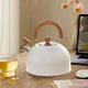 thumbnail image 5 of Hervidor silbador de acero inoxidable con mango ergonómico, ideal para cocina, hogar, 25L blanco, 5 of 9