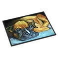 thumbnail image 1 of Carolines Treasures 7401MAT Tapis Intérieur Ou Extérieur 18 x 27 Po. Boxeur Pup, 1 of 4