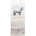 thumbnail image 2 of Robinson, Carol 8x14 Black Ornate Wood Framed with Double Matting Museum Art Print Titled - Misty Pasture I, 2 of 4