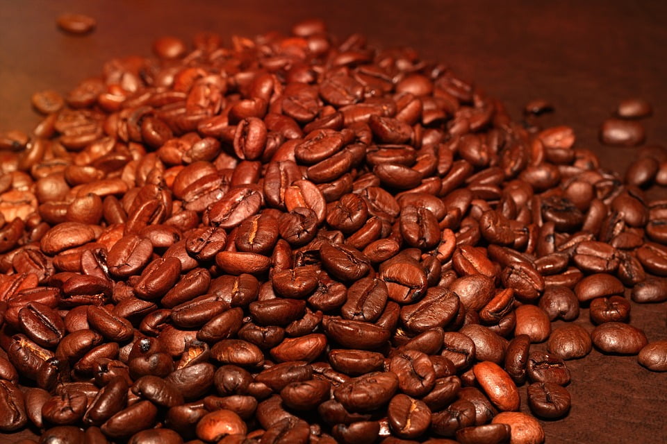Coffee Roasted Aroma Coffee Beans Caffeine12 Inch BY 18 Inch Laminated