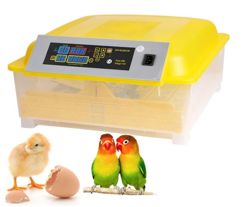 egg incubator temperature egg incubator temperature