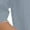 Gray, variant on Women Robe Zipper Front Nightgown Lounge 3/4 Sleeve Midi Dress House Coat Sleepwear with Pockets