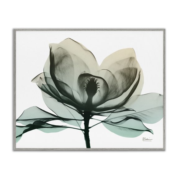 Stupell Industries Glam Green X-Ray Flower Gray Framed Giclee Art, 20 x 16, by Albert Koetsier