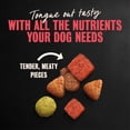 thumbnail image 6 of Cesar Porterhouse Flavor and Vegetable Garnish Small Breed Dry Dog Food, 5 lb bag, 6 of 11