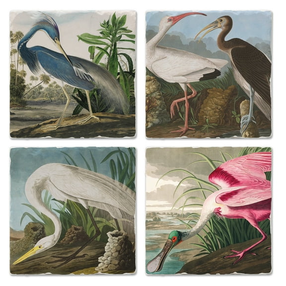 Thirstystone "John James Audubon Collection" 4-Pack Assorted Tumbled Tile Coasters