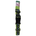thumbnail image 3 of Pet Attire by Coastal Large 18-26" Black Lime Skulls Neoprene Overlay Adjustable Dog Collar, 3 of 3