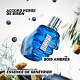 thumbnail image 3 of Perfume Diesel Sound of The Brave 1.35 EDT para hombre, 3 of 6