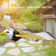 thumbnail image 3 of Águila colgante repelente de pájaros luminoso con regalo de pájaro volador portátil con música Ndcxsfigh Nuevos Originales, 3 of 7