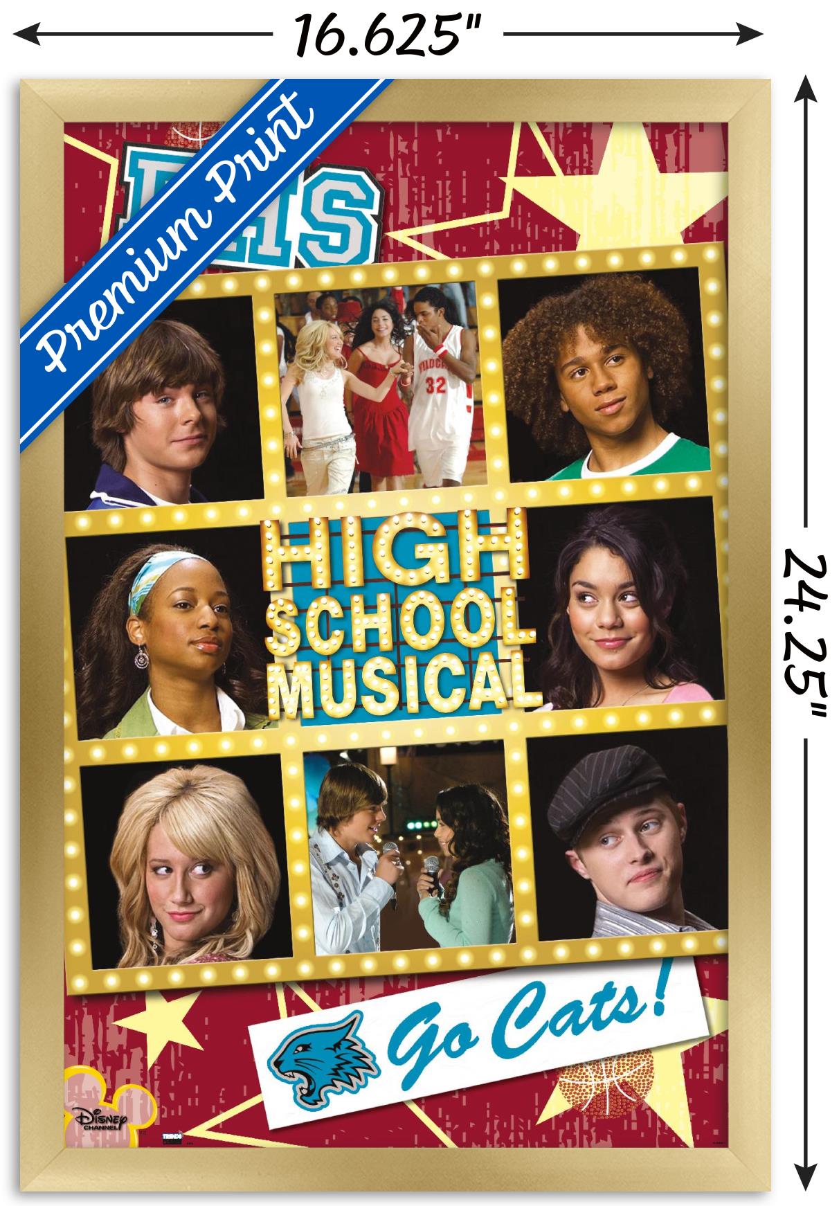 High School Musical - Grid Wall Poster, 14.725" x 22.375" Framed