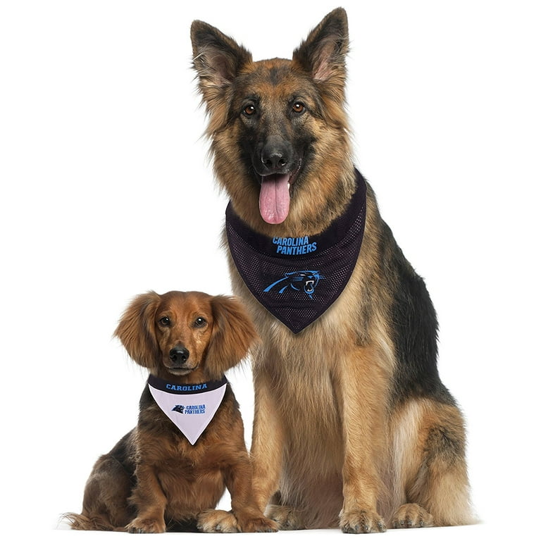 Carolina panthers store dog bandana