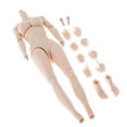 thumbnail image 3 of 1/6 cuerpo femenino sin costuras gran busto esculpir para cuerpo de figura de Zulema Figura de acción Cuerpo desnudo, 3 of 8