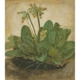 thumbnail image 2 of Albrecht Dürer 20x22 Gold Ornate Framed and Double Matted Museum Art Print Titled - Tuft of Cowslips, 2 of 4