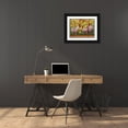 thumbnail image 3 of Matcham, Marcia 24x19 Black Ornate Wood Framed with Double Matting Museum Art Print Titled - Roosters en Place II, 3 of 4