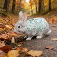 thumbnail image 6 of NWOKYZGH Rabbit Harness and Leash, Escape Proof Bunny Harness and Leash Set, Cute Bunnies Vest Clothes Stuff Walking Accessories Ferret Kitten Puppy Small Pet Animals, 6 of 6