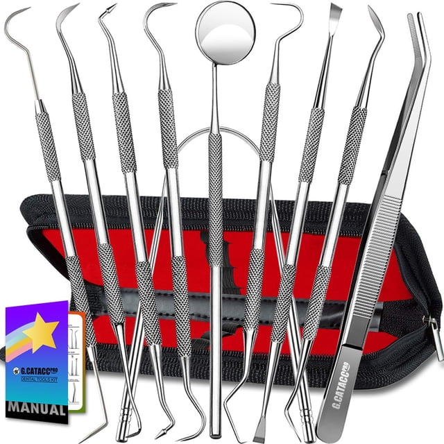 G.CATACC Herramientas dentales, paquete de 10 removedores de placa profesional para limpieza de dientes, juego de herramientas de higiene dental de acero inoxidable con púas dentales, raspador de sarr