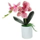 thumbnail image 3 of Planta artificial en maceta de orquídea para decoración de mesa, 3 of 5