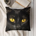 thumbnail image 3 of SHANXI  Throw Pillow Covers Cute Yellow-Eyed cat on a White Background Square Pillowcases for Home Decor Sofa Car Bedroom Pillow case 18x18in, 3 of 5