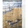 At The Beach Seaguls Shower Curtain And