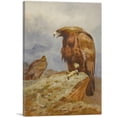 thumbnail image 1 of ARTCANVAS Pair Of Golden Eagles 1899 Canvas Art Print by Archibald Thorburn - Size: 18" x 12" (0.75" Deep), 1 of 9